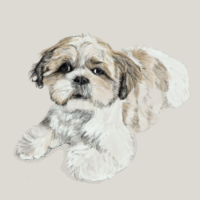 Dog portraits ‘Murphy’